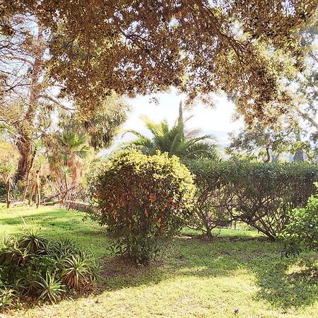 La Suite Costabella A Hyeres-Les-Palmiers エクステリア 写真